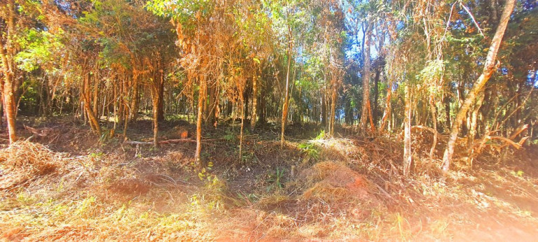 Imagem Imóvel à Venda, 700 m² em Recanto Dos Palmares - Atibaia Imagem Imóvel à Venda, 700 m² em Recanto Dos Palmares - Atibaia