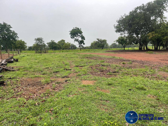 Imagem Chácara à Venda, 8 m² em Zona Rural - Matrinchã Imagem Chácara à Venda, 8 m² em Zona Rural - Matrinchã