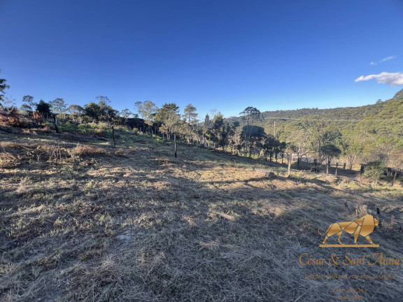 Imagem Terreno à Venda, 1.057 m² em Campos Do Jordão