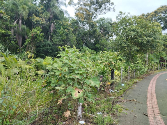 Imagem Terreno à Venda, 1.006 m² em Centro - Araquari Imagem Terreno à Venda, 1.006 m² em Centro - Araquari
