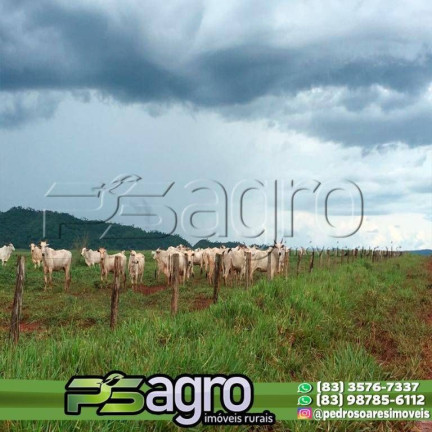Imagem Fazenda à Venda, 100.000.000 m² em Novo Mato Grosso - Cuiabá Imagem Fazenda à Venda, 100.000.000 m² em Novo Mato Grosso - Cuiabá