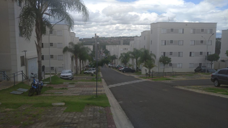 Apartamento com 2 Quartos à Venda, 46 m² em Jardim São Francisco - Piracicaba