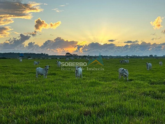 Imóvel com 4 Quartos à Venda, 5.870.000 m² em Caraiva - Porto Seguro