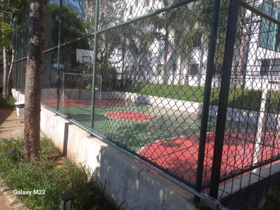 Imagem Apartamento com 2 Quartos à Venda, 44 m² em Jardim Helga - São Paulo