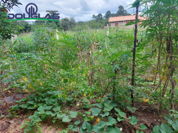 Imagem Casa à Venda, 530 m² em Viamão Imagem Casa à Venda, 530 m² em Viamão