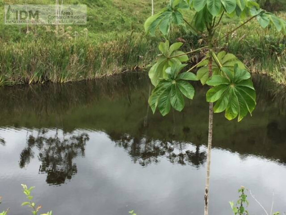 Imagem Chácara à Venda, 3.940.000 m² em Centro - Gandu Imagem Chácara à Venda, 3.940.000 m² em Centro - Gandu