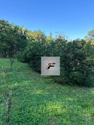 Imagem Chácara com 3 Quartos à Venda, 120.000 m² em Centro - Morretes