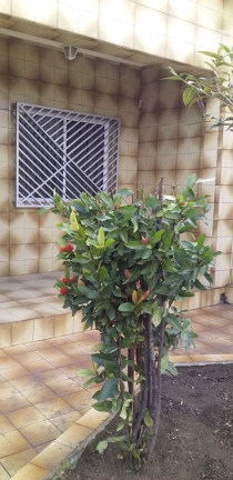 Terreno à Venda, 330 m² em Vila Liviero - São Paulo