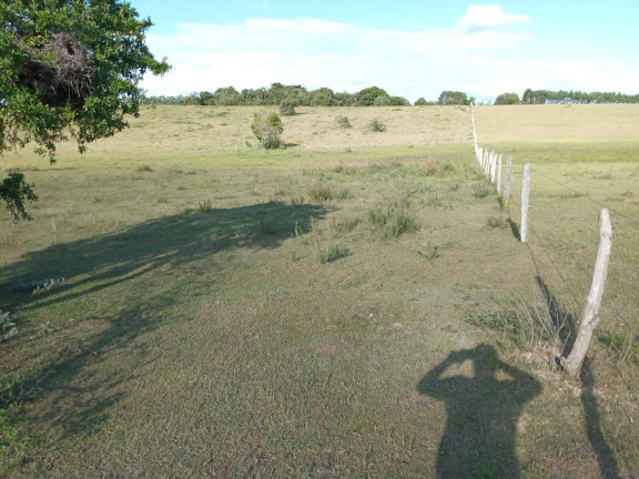 Imagem Chácara à Venda, 60.000 m² em Capão Da Porteira - Viamão Imagem Chácara à Venda, 60.000 m² em Capão Da Porteira - Viamão