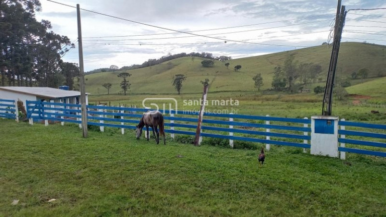 Imagem Imóvel com 5 Quartos à Venda, 375 m² em Pinhal Novo - Lorena