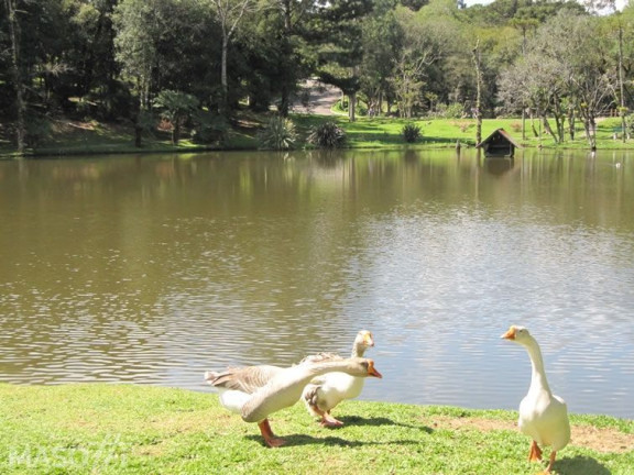 Terreno à Venda, 1.900 m² em Centro - Gramado