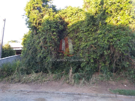 Imagem Imóvel à Venda, 450 m² em Baía Formosa - Búzios Imagem Imóvel à Venda, 450 m² em Baía Formosa - Búzios