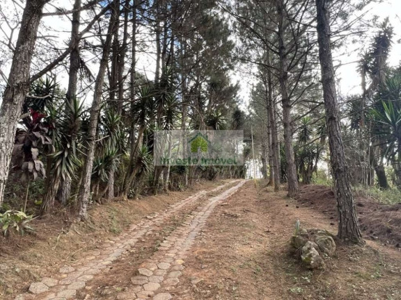 Imagem Imóvel à Venda, 220 m² em Granja Viana - Cotia Imagem Imóvel à Venda, 220 m² em Granja Viana - Cotia