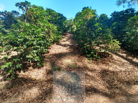 Imagem Imóvel à Venda, 4 m² em Rural - Jacuí Imagem Imóvel à Venda, 4 m² em Rural - Jacuí