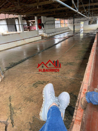 Imagem Fazenda à Venda, 2.226.400 m² em Ponte Nova - Lorena