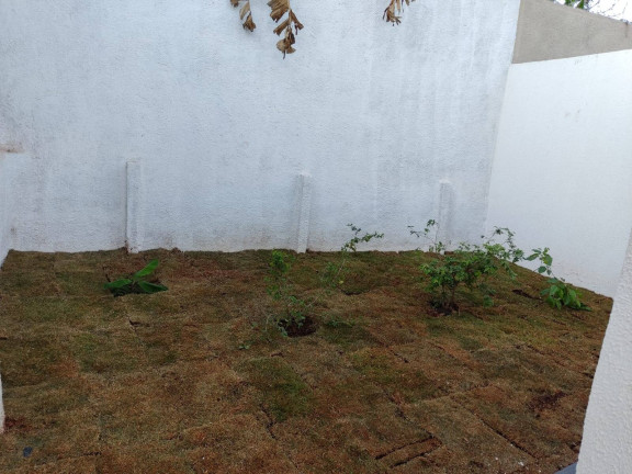 Imagem Casa com 3 Quartos à Venda, 150 m² em Cidade Livre - Aparecida De Goiânia