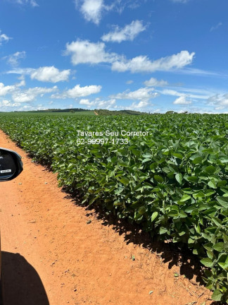 Imagem Imóvel à Venda,  em Setor Central - Anápolis