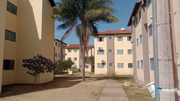Imagem Apartamento com 2 Quartos à Venda, 58 m² em Vila Carlota - Campo Grande Imagem Apartamento com 2 Quartos à Venda, 58 m² em Vila Carlota - Campo Grande