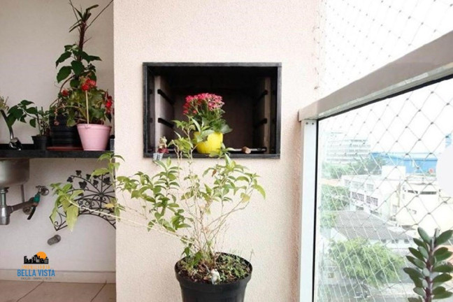 Imagem Apartamento com 3 Quartos à Venda, em Planalto Paulista - São Paulo Imagem Apartamento com 3 Quartos à Venda, em Planalto Paulista - São Paulo