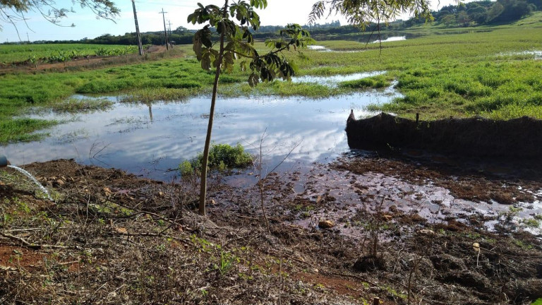 Imagem Fazenda à Venda, 54 m² em Itai - Itaí Imagem Fazenda à Venda, 54 m² em Itai - Itaí