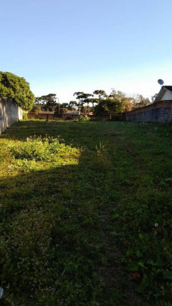 Terreno à Venda,  em Vila Juliana - Piraquara