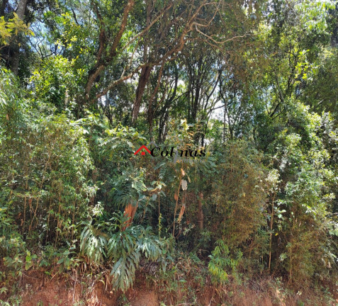 Imagem Terreno à Venda, 2.400 m² em Depois Do Centro - Ibiúna Imagem Terreno à Venda, 2.400 m² em Depois Do Centro - Ibiúna