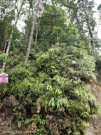 Imagem Terreno à Venda, 1.011 m² em Recreio Da Borda Do Campo - Santo André Imagem Terreno à Venda, 1.011 m² em Recreio Da Borda Do Campo - Santo André