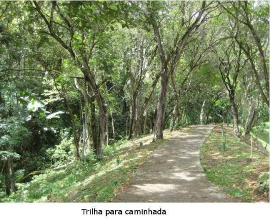 Imagem Terreno à Venda, 1.593 m² em Roçado - São José Imagem Terreno à Venda, 1.593 m² em Roçado - São José