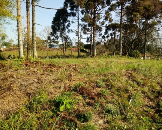 Imagem Imóvel à Venda, 520 m² em Bavária - Nova Petrópolis
