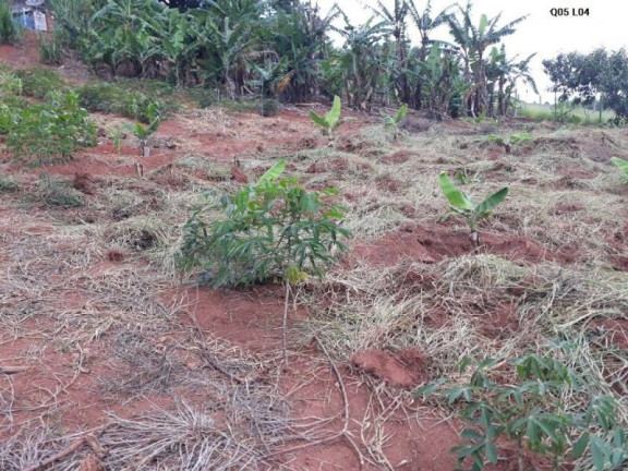 Imagem Terreno à Venda, 2 m² em Parque Caetê - Bragança Paulista Imagem Terreno à Venda, 2 m² em Parque Caetê - Bragança Paulista