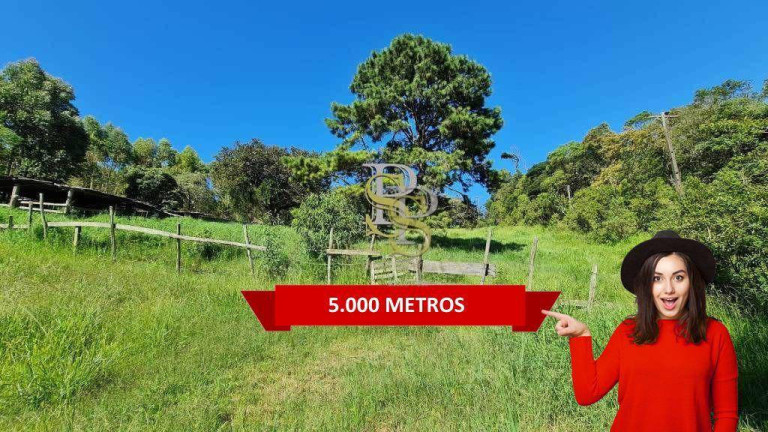 Imóvel à Venda, 5.000 m² em Terra Preta - Mairiporã
