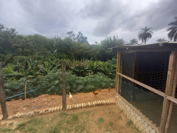 Imagem Chácara com 13 Quartos à Venda, 12.000 m² em Parque Imperador - Campinas Imagem Chácara com 13 Quartos à Venda, 12.000 m² em Parque Imperador - Campinas