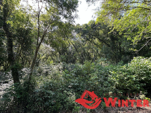 Imagem Terreno à Venda, 2.162 m² em Linha Neis - São Vendelino