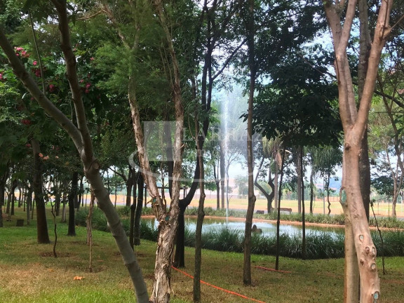 Imagem Terreno à Venda, 1.500 m² em Cravinhos - Fazenda Santa Maria - Cravinhos