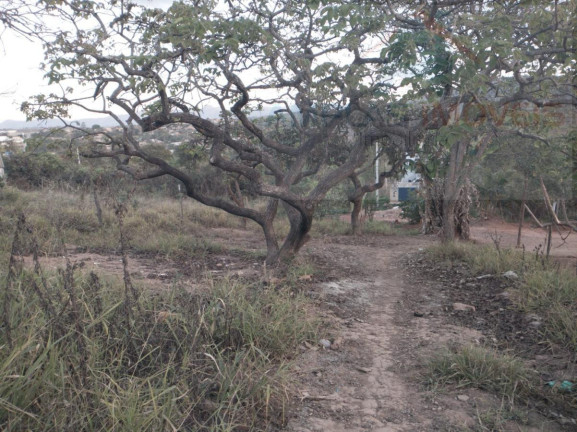 Imagem Terreno à Venda, 360 m² em Jardim Das Mangabeiras - Mateus Leme Imagem Terreno à Venda, 360 m² em Jardim Das Mangabeiras - Mateus Leme