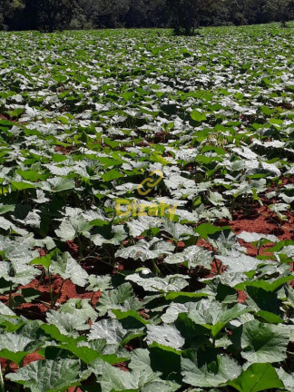 Fazenda à Venda,  em Zona Rural - Santana De Pirapama