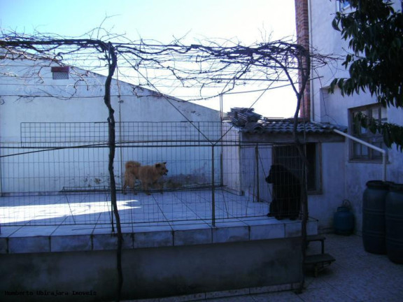 Imagem Casa com 5 Quartos à Venda, 216 m² em Pé De Plátano - Santa Maria