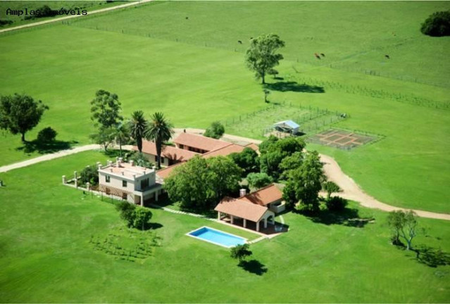 Imagem Imóvel com 4 Quartos à Venda, 1.000 m²