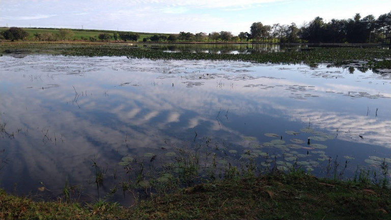 Imagem Fazenda à Venda, 54 m² em Itai - Itaí Imagem Fazenda à Venda, 54 m² em Itai - Itaí