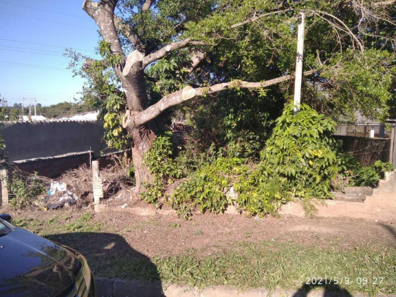Imagem Terreno à Venda, 300 m² em Arroio Da Manteiga - São Leopoldo Imagem Terreno à Venda, 300 m² em Arroio Da Manteiga - São Leopoldo