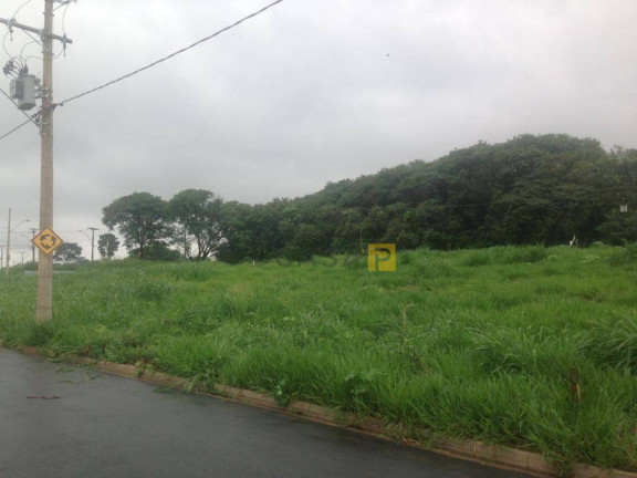 Imagem Terreno à Venda, 366 m² em Residencial Pau Brasil - Americana Imagem Terreno à Venda, 366 m² em Residencial Pau Brasil - Americana