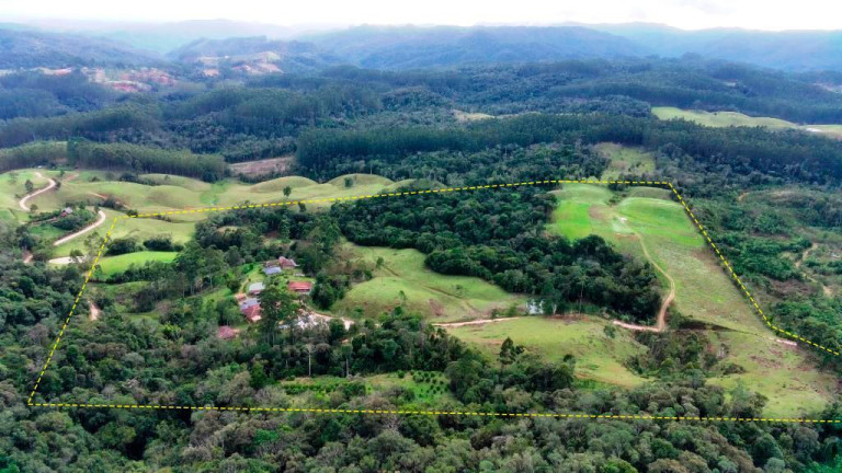 Imagem Imóvel com 6 Quartos à Venda, 250.000 m² em Zona Rural - Apiúna