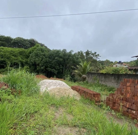 Imagem Terreno à Venda, 1 m² em Aldeia Dos Camarás - Camaragibe Imagem Terreno à Venda, 1 m² em Aldeia Dos Camarás - Camaragibe