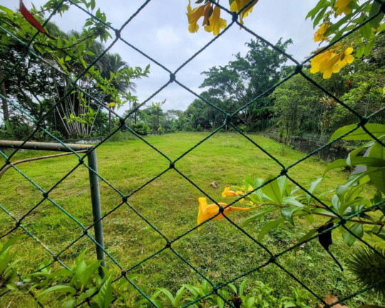 Imagem Terreno à Venda, 88.000 m² em Anil - Rio De Janeiro