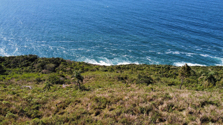 Imagem Terreno à Venda, 16.948 m² em Praia Da Ferrugem - Garopaba Imagem Terreno à Venda, 16.948 m² em Praia Da Ferrugem - Garopaba