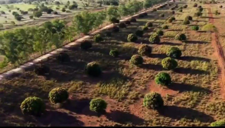 Imagem Fazenda à Venda, 4.534 m² em Rural - Camapuã Imagem Fazenda à Venda, 4.534 m² em Rural - Camapuã