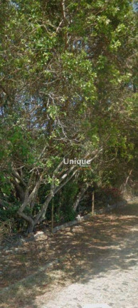 Imagem Terreno à Venda, 1.000 m² em Rasa - Armação Dos Búzios Imagem Terreno à Venda, 1.000 m² em Rasa - Armação Dos Búzios