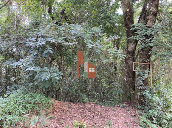 Imagem Terreno à Venda, 1.025 m² em Mato Dentro - Mairiporã