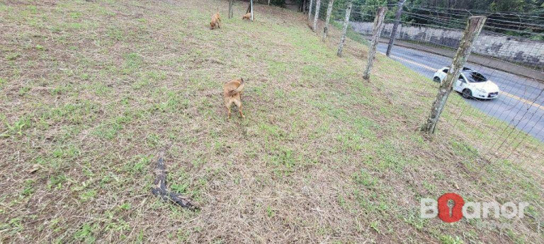 Imagem Terreno à Venda, 754 m² em Velha - Blumenau