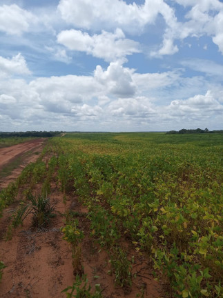 Imóvel à Venda,  em Colinas Do Tocantins/to - Colinas Do Tocantins